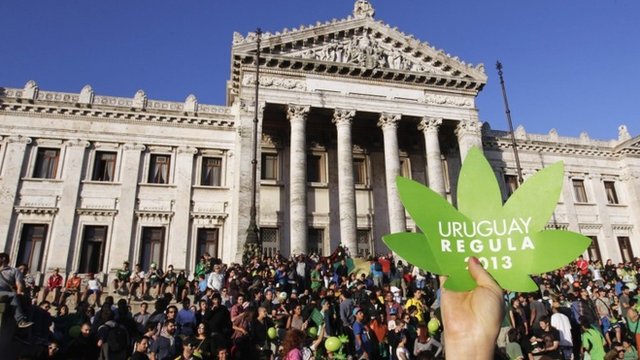 В Уругвае легализовали марихуану
